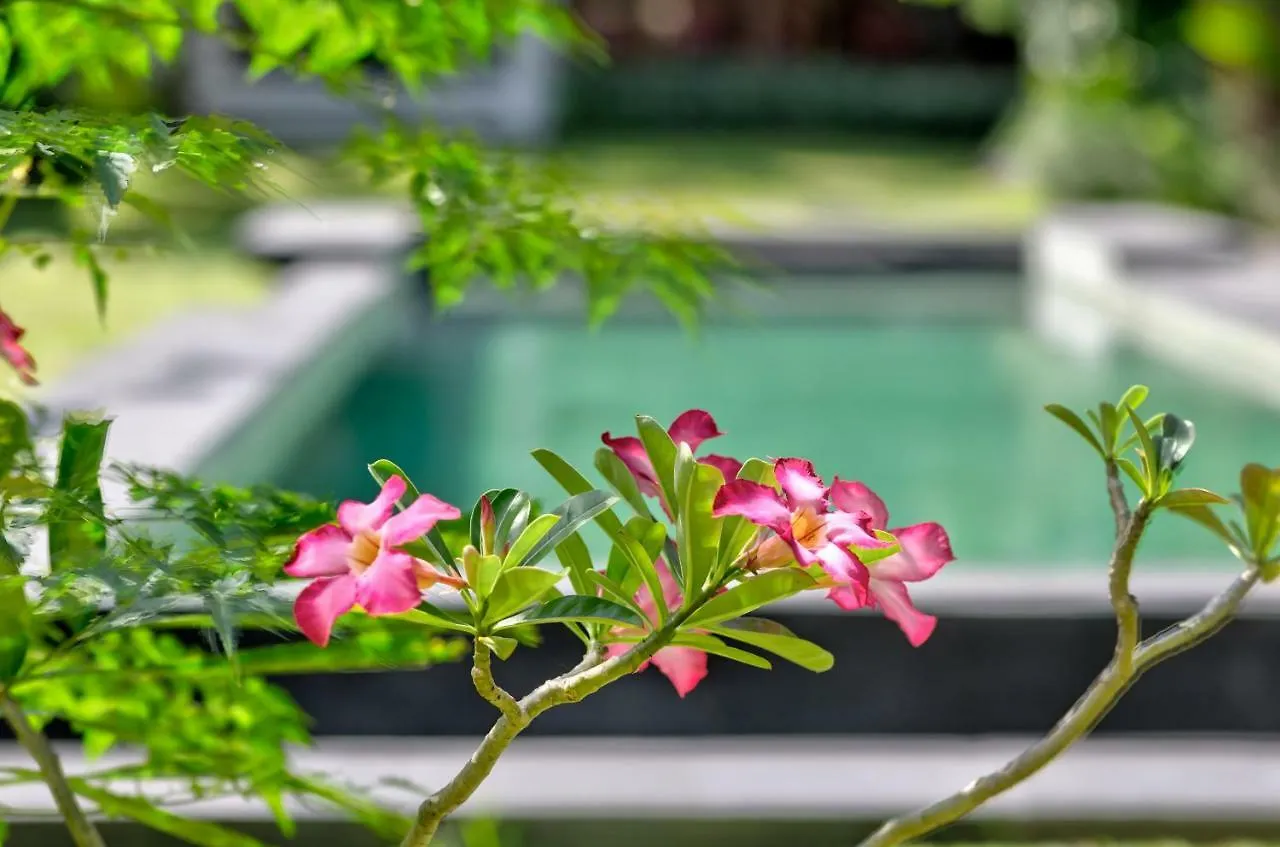 Villa Janna Seminyak